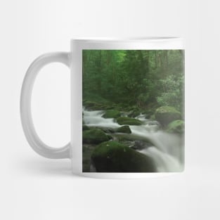 Roaring Fork River Flowing Through The Great Smoky Mountains National Park Mug